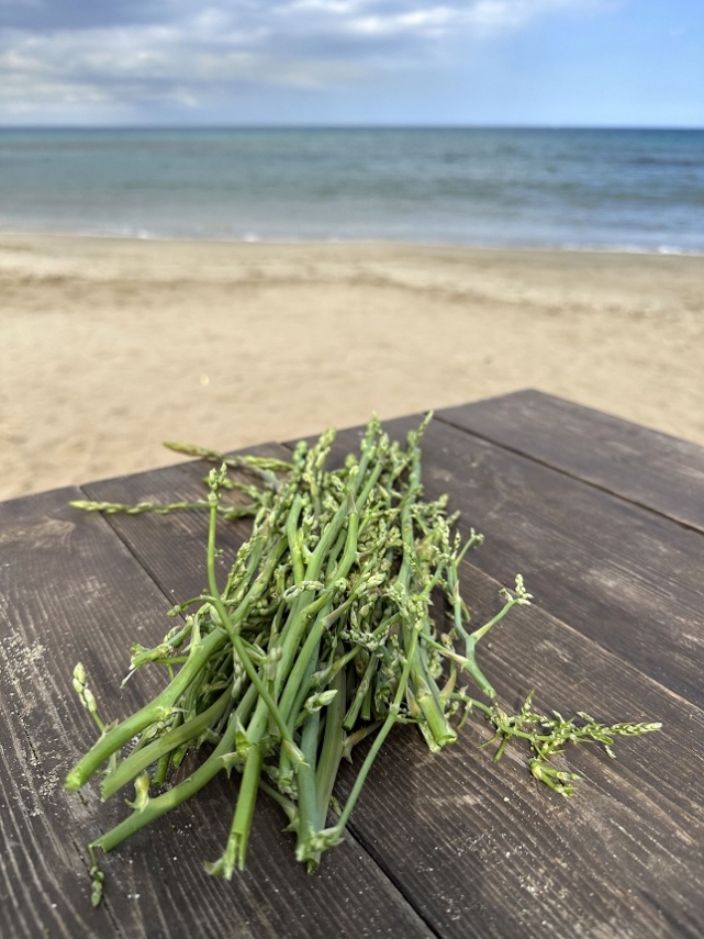 Şifa Kaynağı Tilkişen Sofralara Sağlık Ve Tat Katıyor