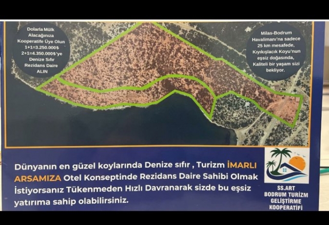 Vekilken Ağaç Severdi, Şimdi Beton Sever!