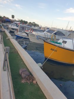 Çeşmealtı’nda Tekne İsyanı: “Kıyıyı Terk Et” Tepkisi