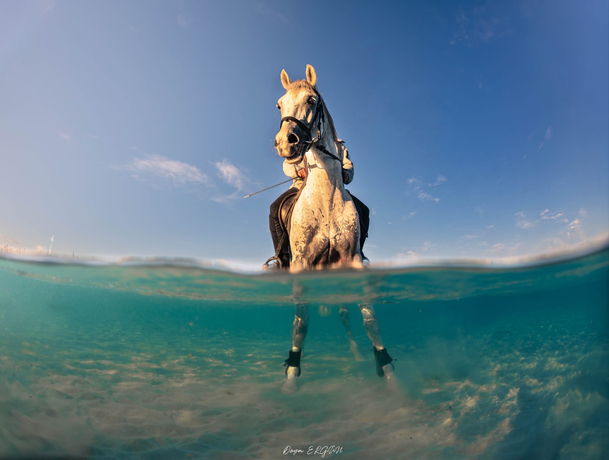 Çeşme’den Dünya Sahnesine Genç Bir İmza