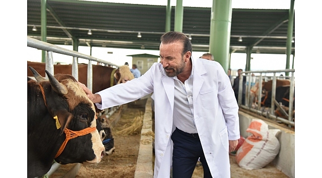 Başkan Doğan hayvan pazarında incelemelerde bulundu