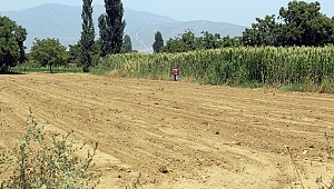 Küçük Menderes'te susuzluk tehlikesi