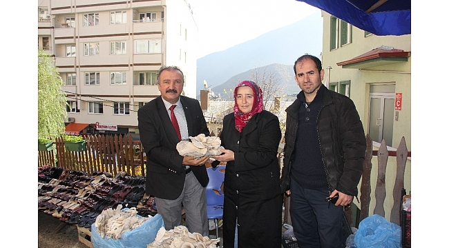 AKAK'ın ilk istiridye mantarları pazardaki yerin aldı
