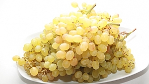 Yaş üzüm ihracatında Rusya bereketi