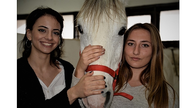 Üniversiteli kızlar, ojeli ellerle atlara nal çakıyor