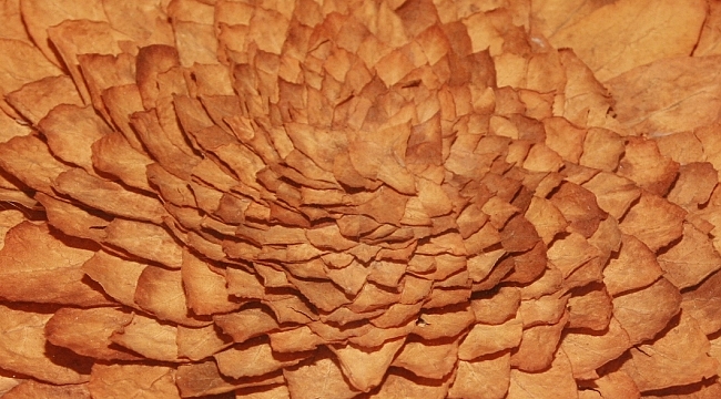 EİB İhracatı 1980 Sonrasında 24 Kat Arttı