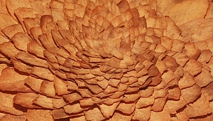 EİB İhracatı 1980 Sonrasında 24 Kat Arttı