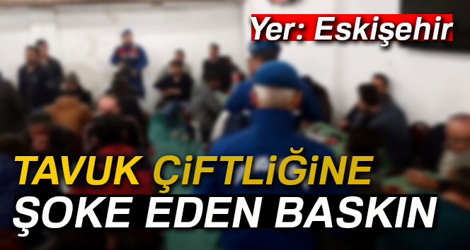 Tavuk çiftliğine ’şok’ kumar baskını