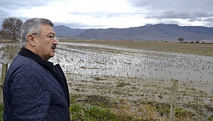 “Yaraları Hızla Saracağız”