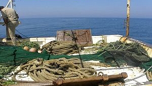 İzmir'de kaçak su ürünleri avcılığına geçit yok