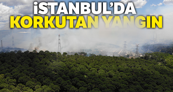 Hasdal’da askeri alandaki ormanda yangın