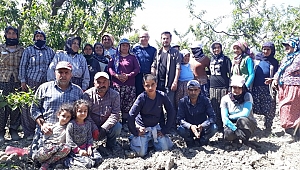 Hem ihracatçılara hem de üreticilere hizmet veriyorlar