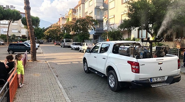 Sivrisinek ve Haşerelere Karşı Mücadele Çalışmalarına Başlandı