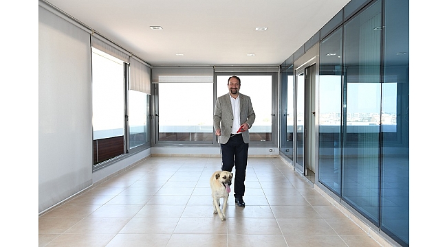 Başkan Utku Gümrükçü Köpek Sahiplendi