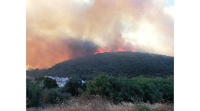 Dsi Ekipleri Ön Saflarda Yangınla Savaştı