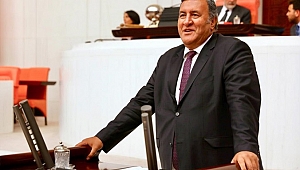  Gürer: “Meslek hastalıkları çeşitlenerek artıyor”
