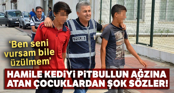 Hamile kediyi pitbullun ağzına atan çocuklardan şok sözler
