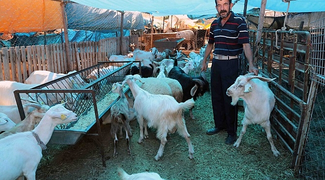 Bayraklı Belediyesi Kurban Bayramı'na Hazır