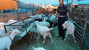 Bayraklı Belediyesi Kurban Bayramı'na Hazır