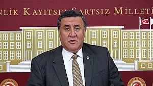 Gürer: “İstihdam arttırılsın diye verilen teşvikler kimlere gitti?”