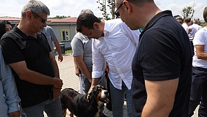 İmamoğlu hayvan barınağını ziyaret etti