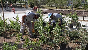 Karşıyaka’da park hamlesi
