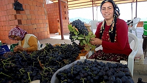 Cesaretiyle örnek oldu