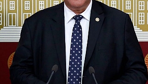 “Çağrı Merkezi çalışanlarının çalışma koşulları iyileştirilmelidir”