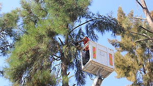 Çiğli’de Kış Hazırlığı