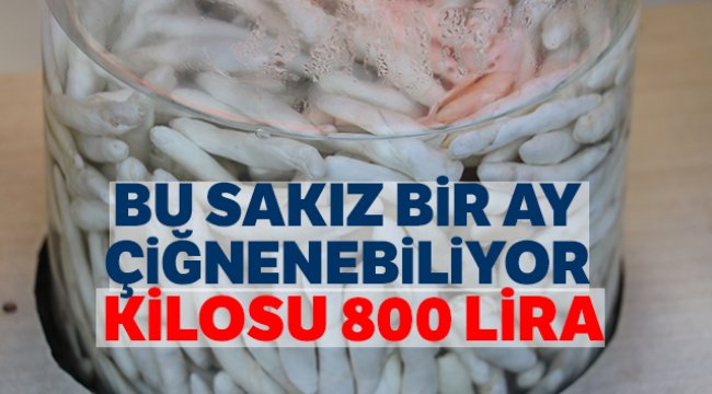 Bu sakız bir ay çiğnenebiliyor