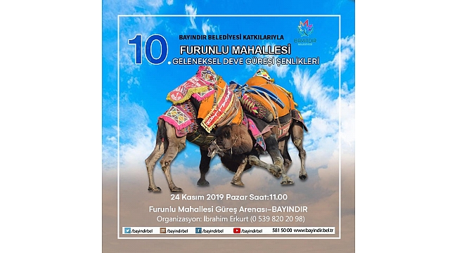 Furunlu Deve Güreşi Pazar Günü Yapılacak