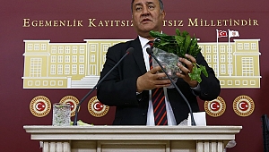 Güzelavrat otu ortalığı karıştırdı