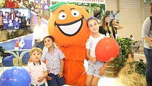 Menderes'te mandalina festivali zamanı