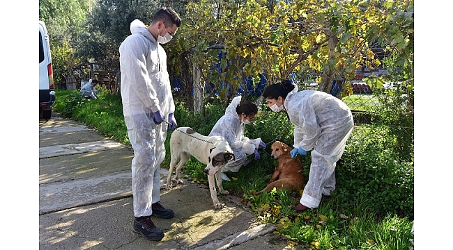 Bornova’da candostlar için örnek dayanışma