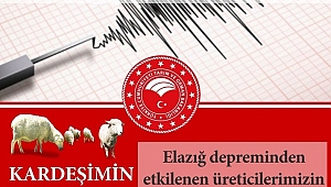 Kardeşim Koyunun Benden