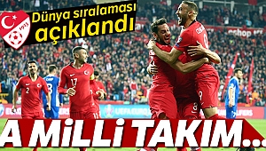 A Milli Futbol Takımı, dünya sıralamasında yerini korudu