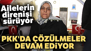 Ailelerin direnişi sürüyor, terör örgütü PKK'da çözülmeler devam ediyor