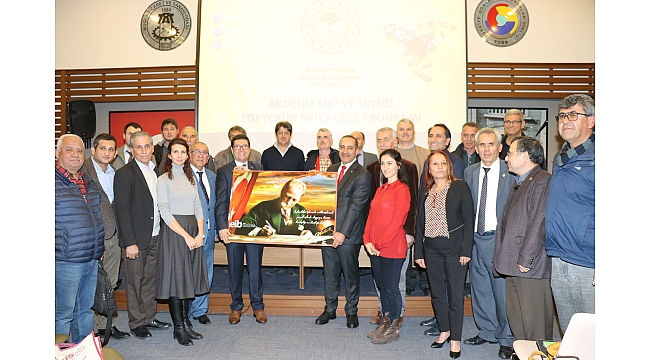 Akdeniz Meyve Sineği ile topyekun mücadele başlatıldı