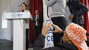 Akşener: “Çözüm Anadolu tohumunda”