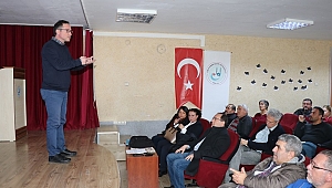 Arılarda ilkbahar bakımı