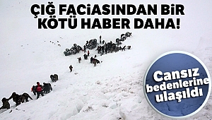 Çığ faciasında iki kişinin daha cansız bedenine ulaşıldı