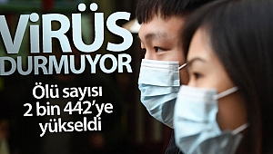 Çin’de salgından ölenlerin sayısı 2 bin 442’ye yükseldi
