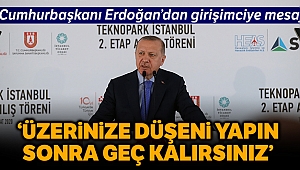 Cumhurbaşkanı Erdoğan: 'Girişimci üzerine düşeni yapsın sonra geç kalırsınız'