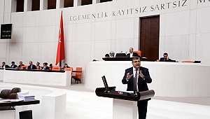 “Devlet sorumluluktan kaçamaz!”