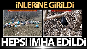 Diyarbakır’da teröristlerin inleri imha edildi