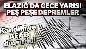 Elazığ'da 4,5 ve 4,2 büyüklüğünde iki deprem daha meydana geldi