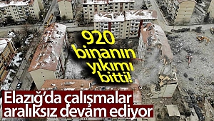 Elazığ’da 920 binanın yıkımı tamamlandı