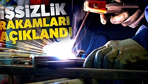 Kasım ayı işsizlik rakamları açıklandı