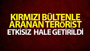 Kırmızı bültenle aranan terörist etkisiz hale getirildi