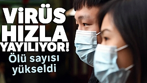 Korona virüsü salgını nedeniyle ölü sayısı 813'e yükseldi